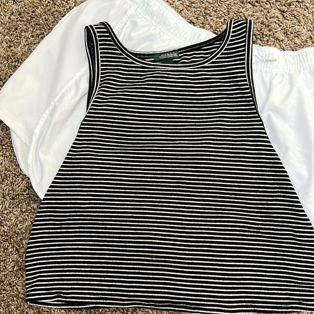 Wild Fable crop top